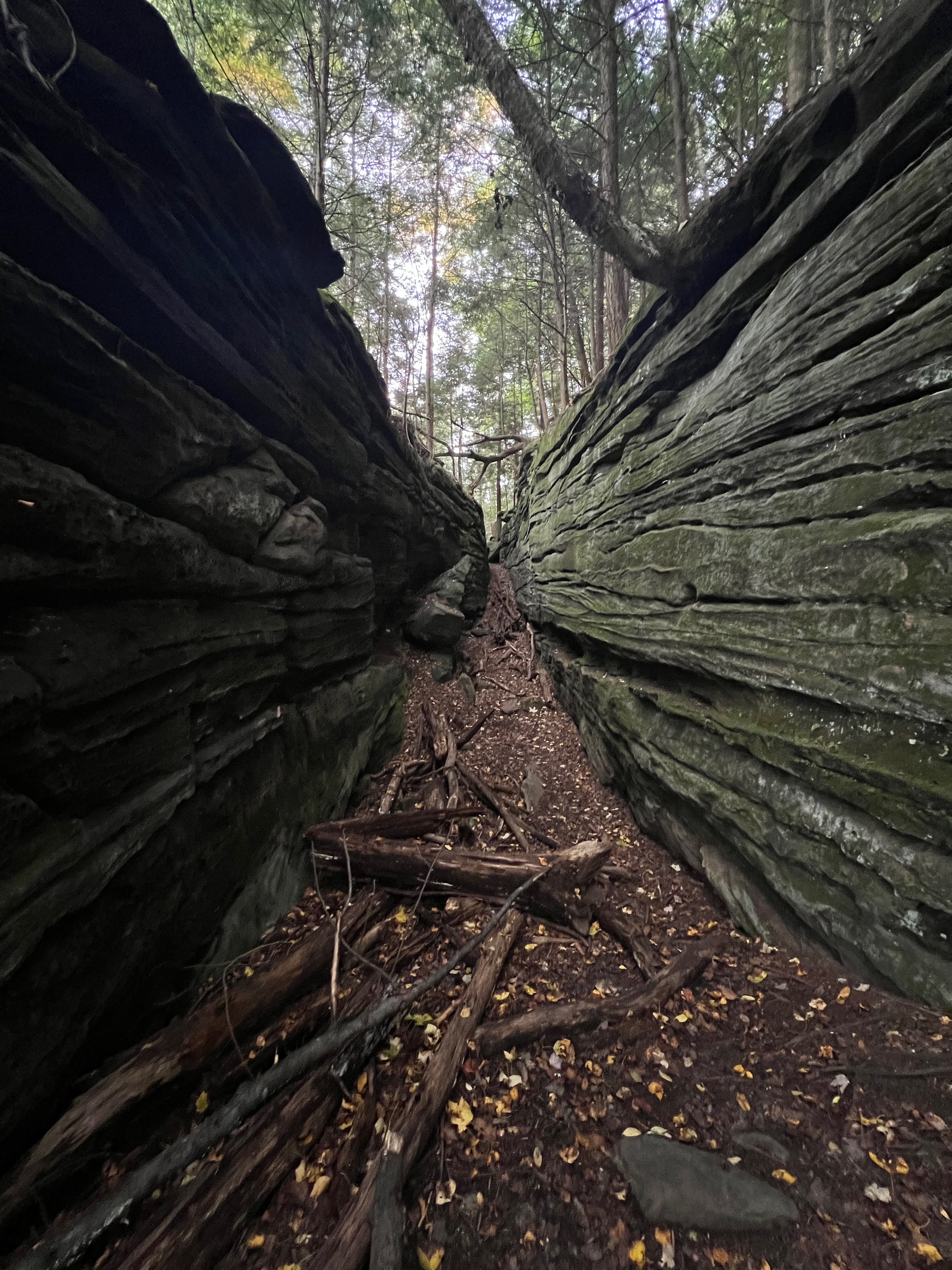 A small "ravine"