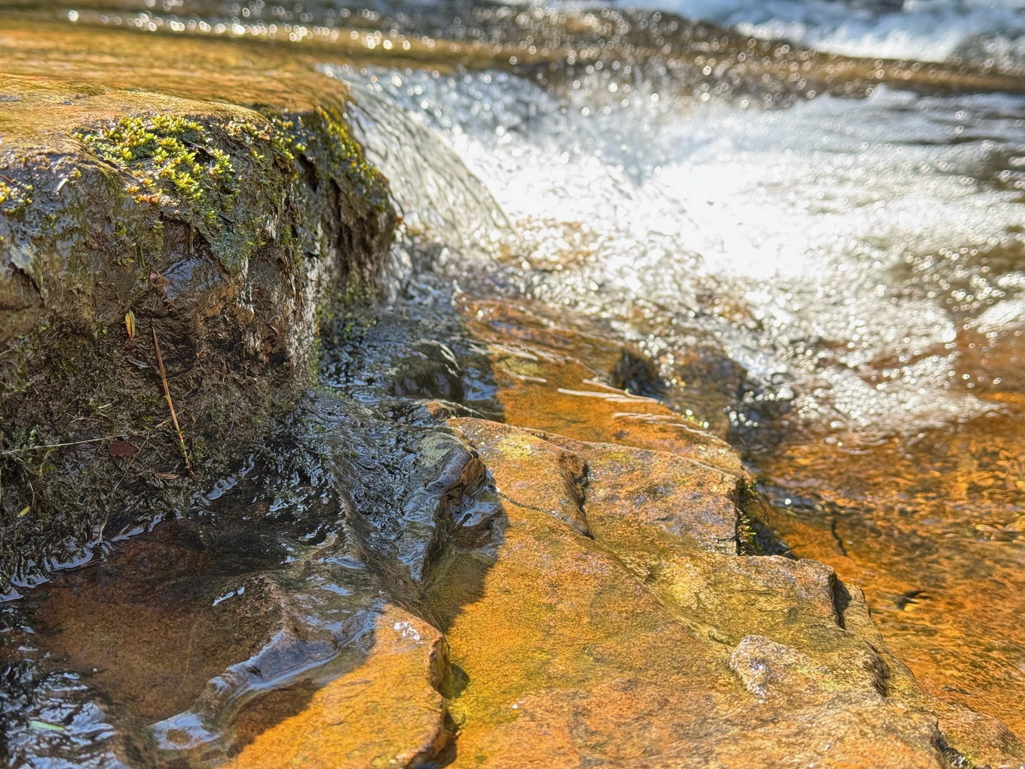 Linn Run State Park