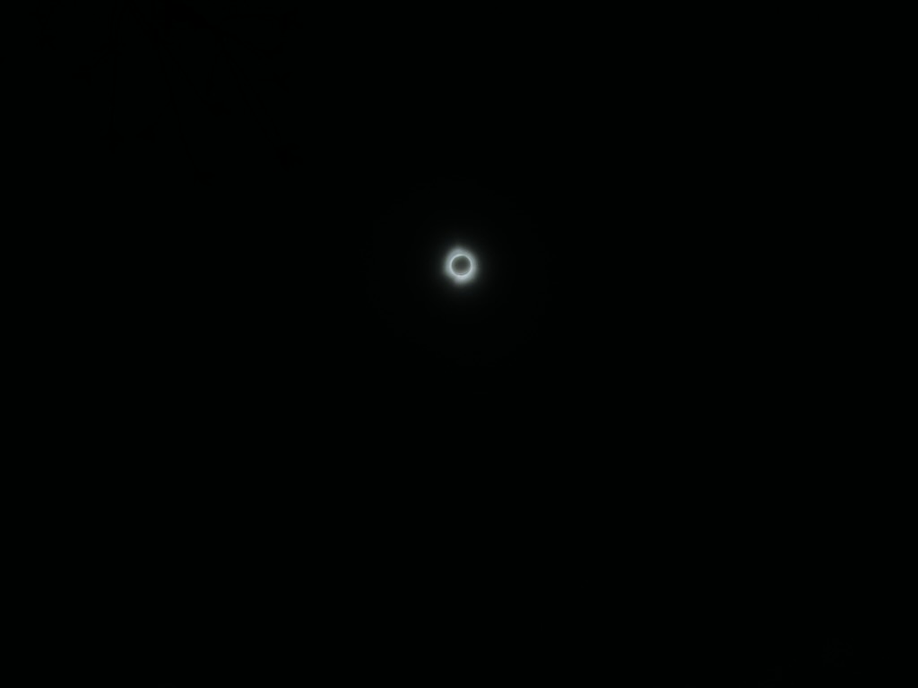 Solar eclipse stellar corona